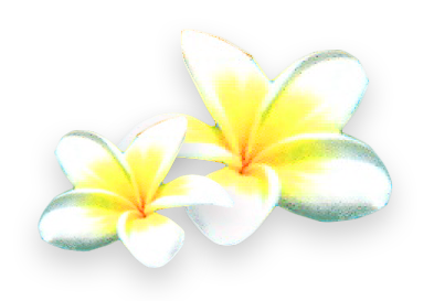 Lotusblumen zur Entspannung